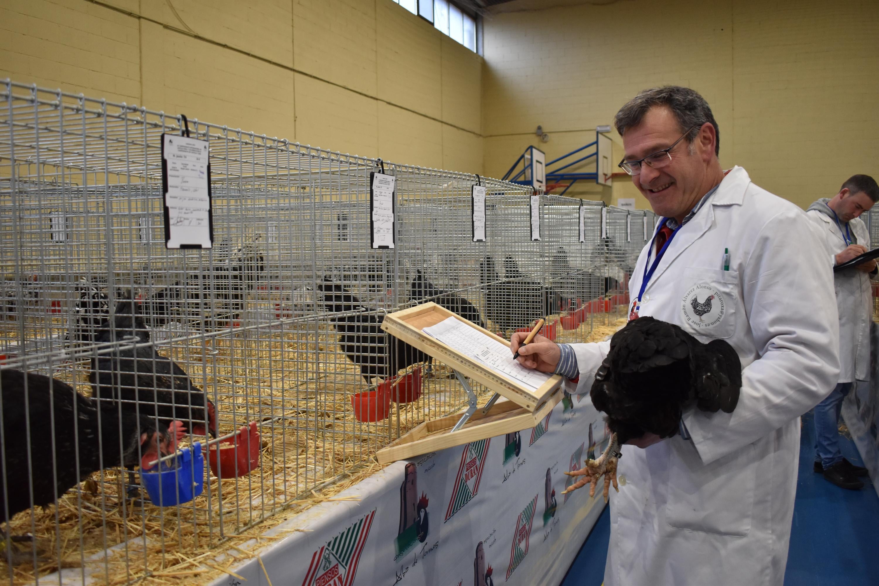 Así son las gallinas, palomas y conejos que seducen al público de Ledesma