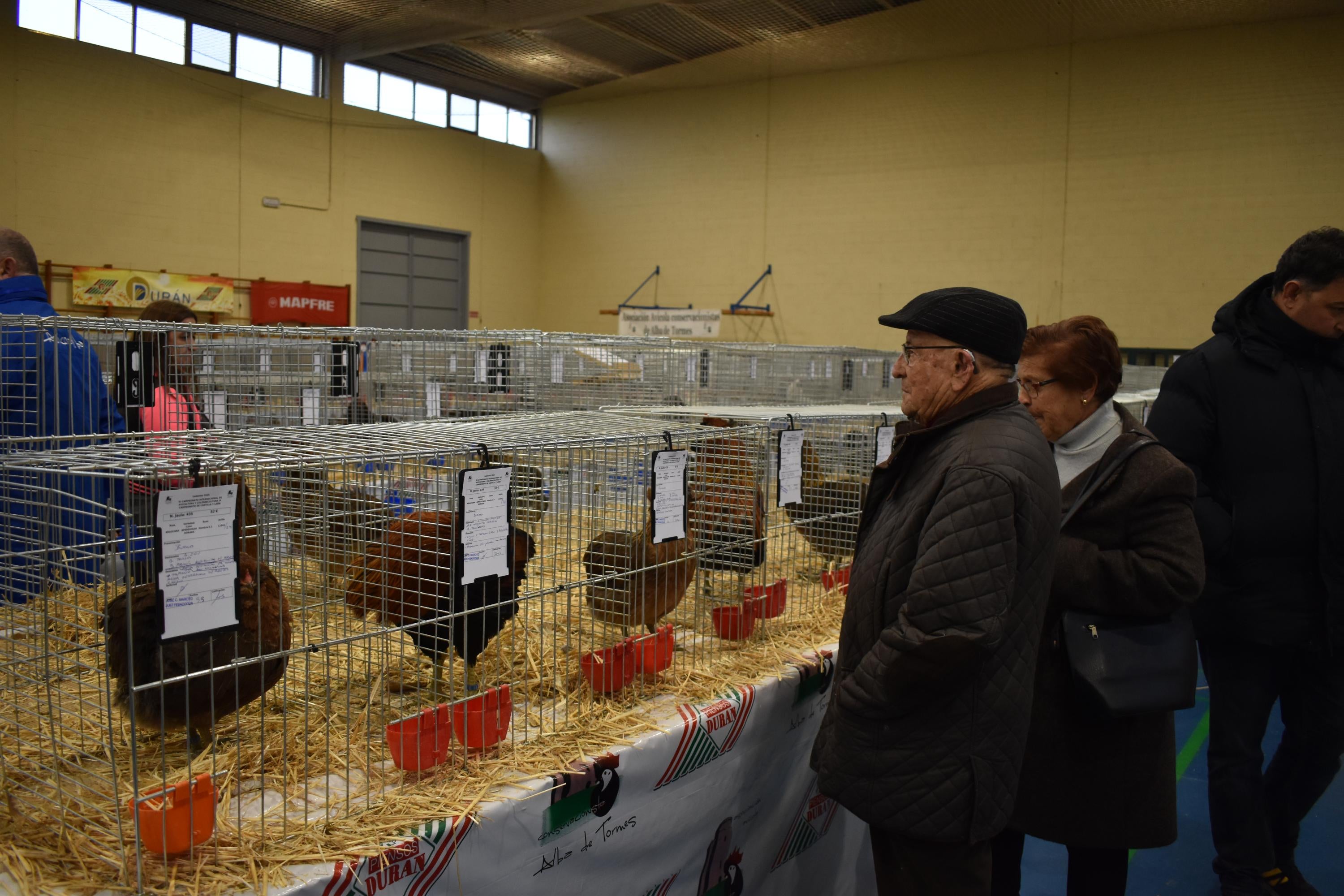 Así son las gallinas, palomas y conejos que seducen al público de Ledesma