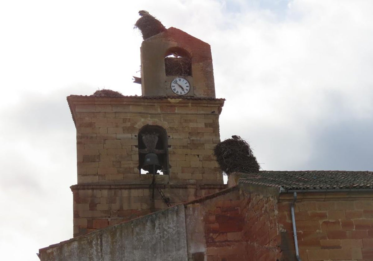 Nidos en la iglesia de Villoruela.