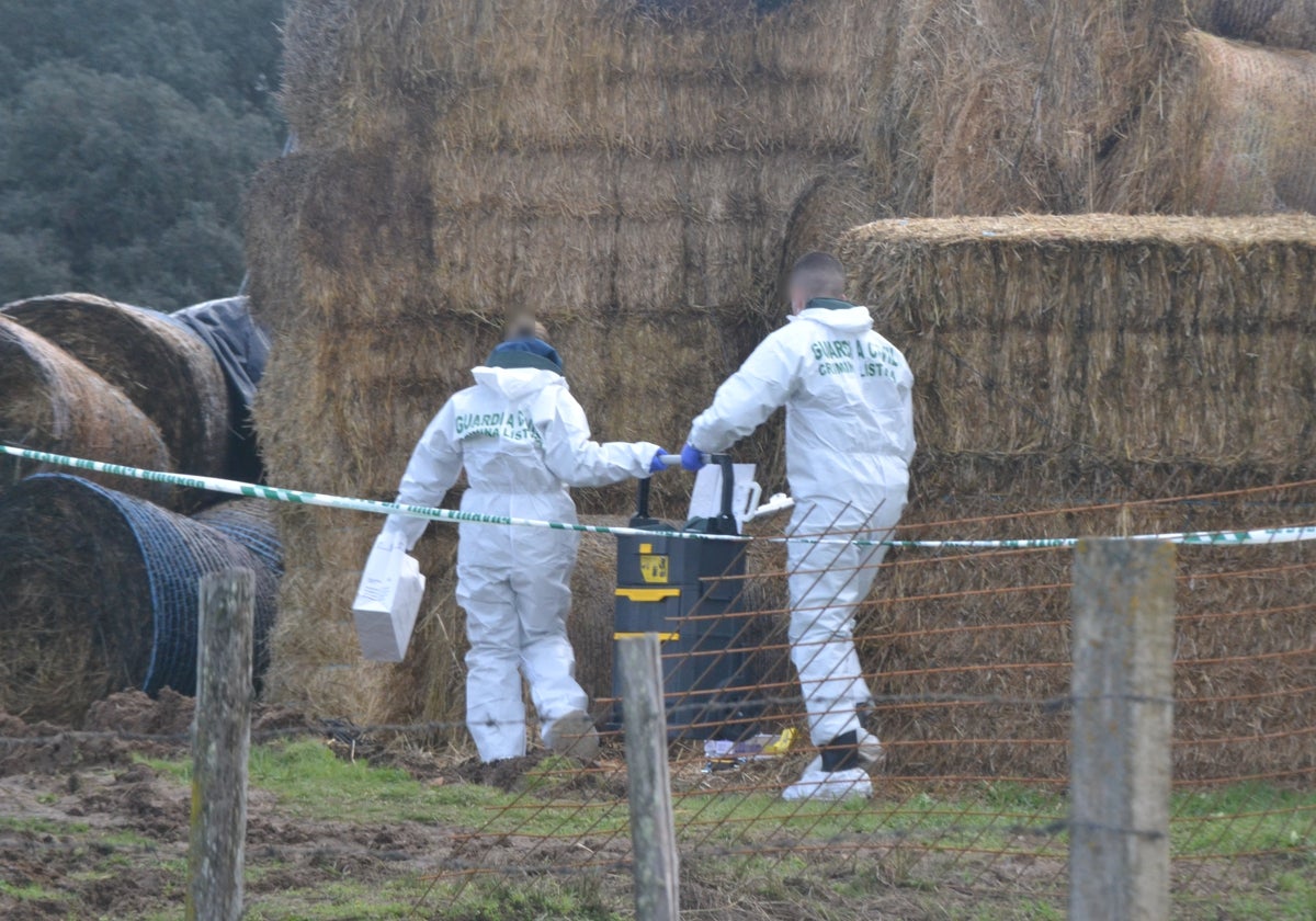 Agentes del Servicio de Criminalística de la Guardia Civil investigan sobre el terreno en una finca de Sanjuanejo, en Ciudad Rodrigo.