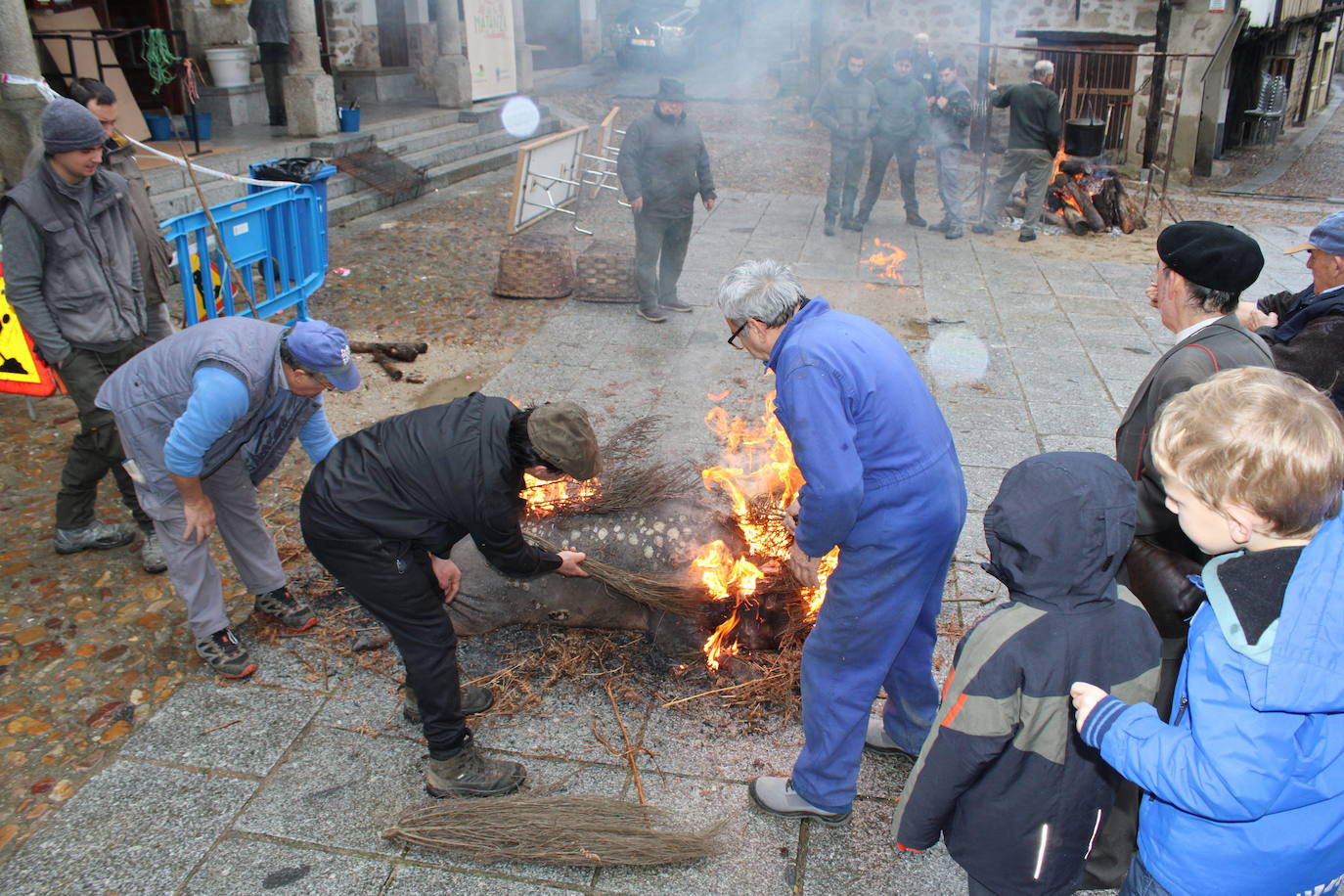 San Esteban de la Sierra disfruta de su matanza tradicional