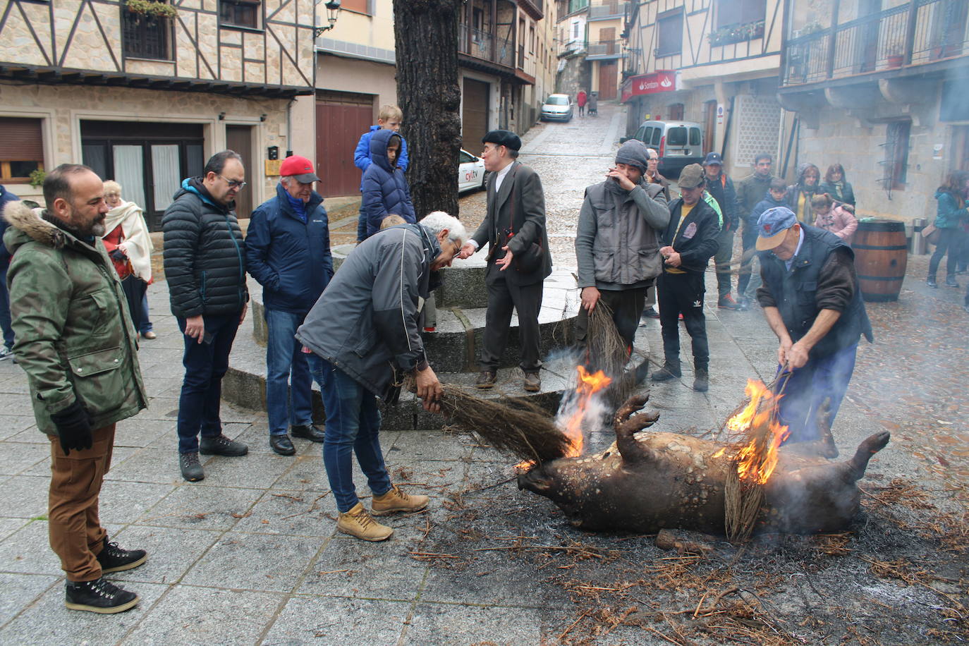 San Esteban de la Sierra disfruta de su matanza tradicional