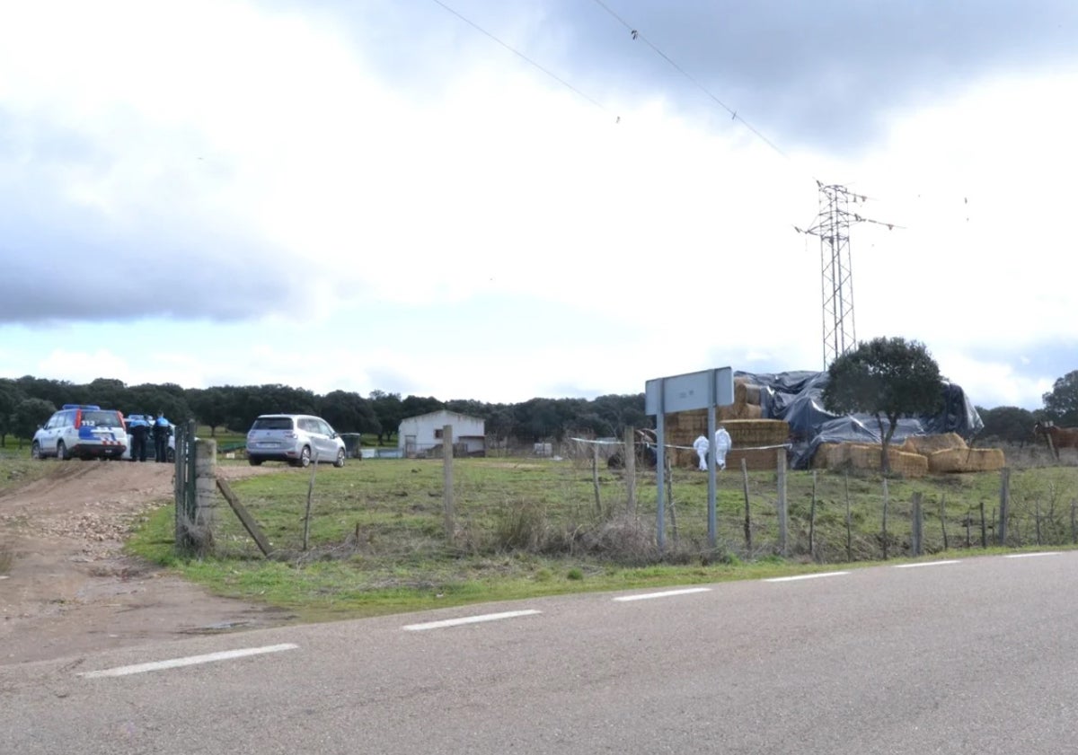 Imagen principal - Agentes del Servicio de Criminalística de la Guardia Civil y de la Policía Local de Ciudad Rodrigo investigan sobre el terreno en una finca de Sanjuanejo, en Ciudad Rodrigo.