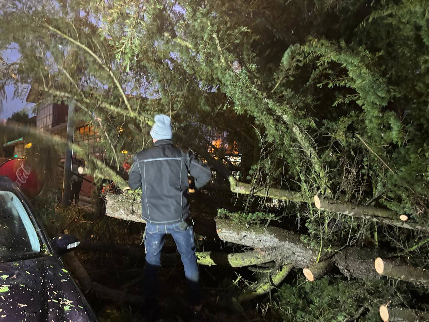 Un coche acaba aplastado por la caída de un pino a causa del fuerte viento en Alba de Tormes