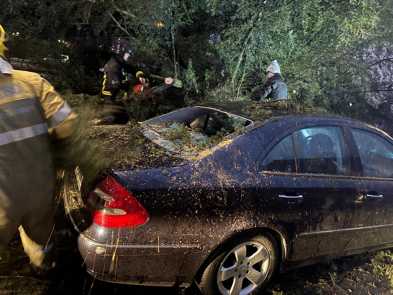 Un coche acaba aplastado por la caída de un pino a causa del fuerte viento en Alba de Tormes