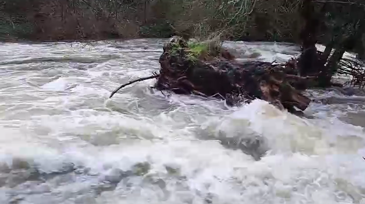 El río Cuerpo de Hombre, impresionante a su paso por Béjar