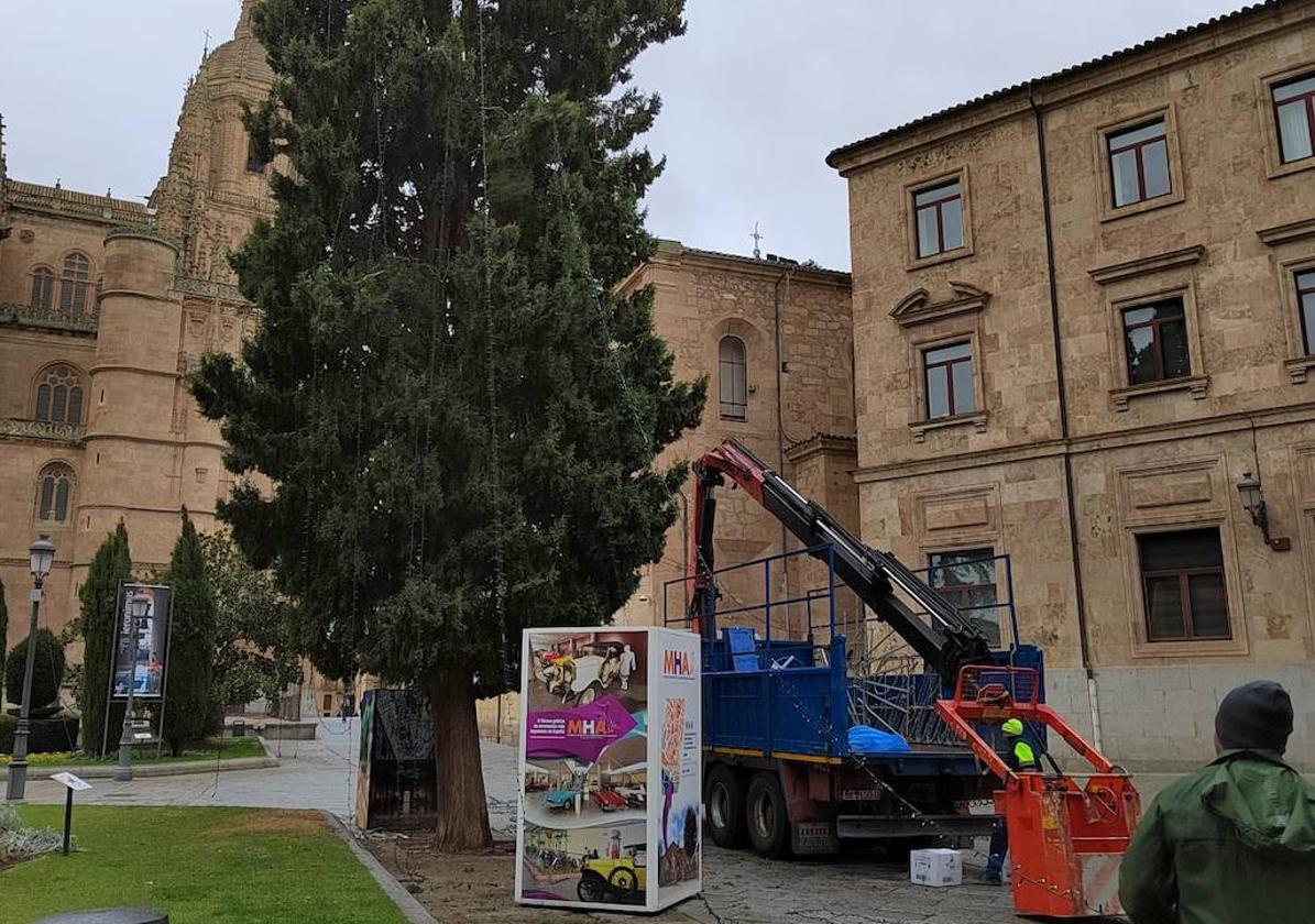 Operarios del Ayuntamiento retiran luces de Navidad en la plaza de Anaya.