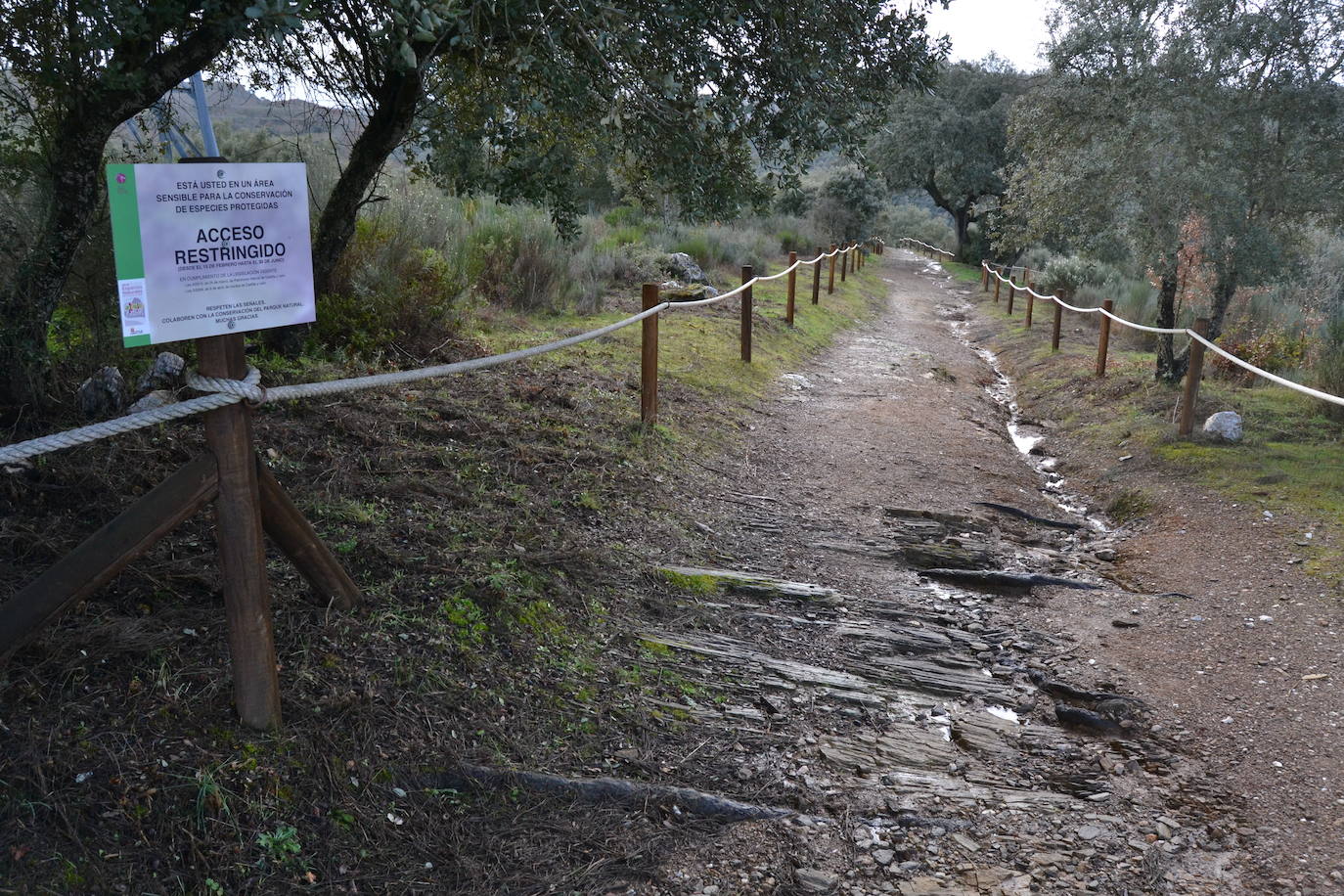 Herminia revitaliza el Pozo de los Humos