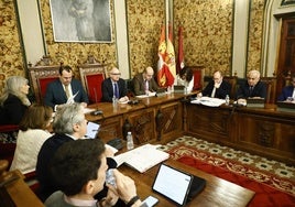 Un momento del pleno de la Diputación de Salamanca en el Palacio de La Salina.