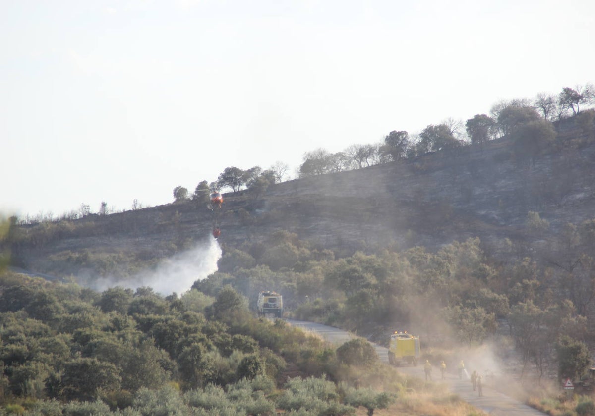 Distintos medios extinguen un incendio forestal declarado en la zona.