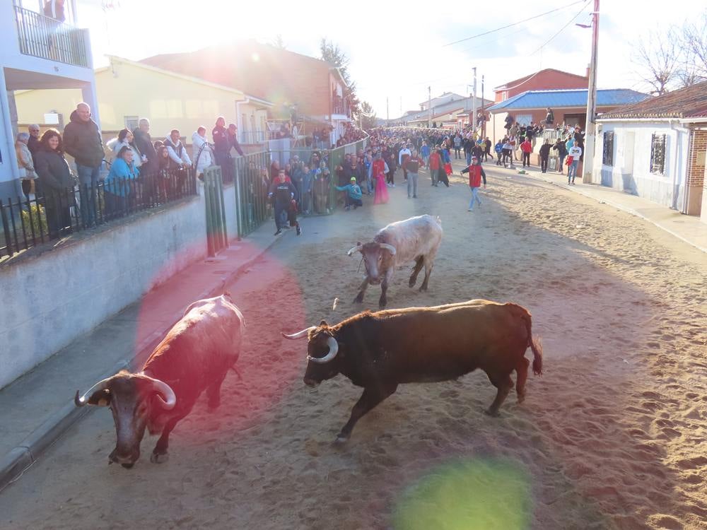 Bravura por las calles de Babilafuente