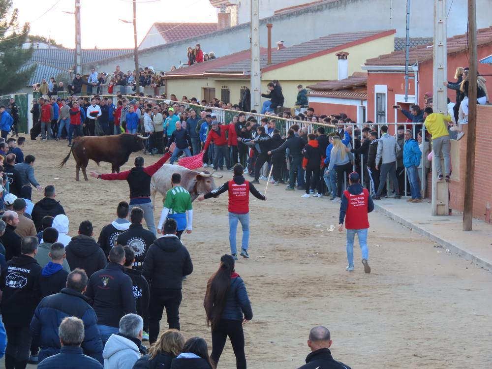 Bravura por las calles de Babilafuente