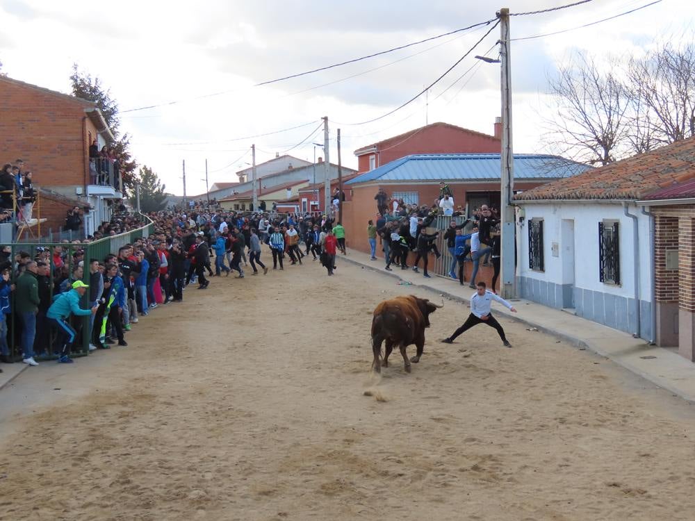 Bravura por las calles de Babilafuente