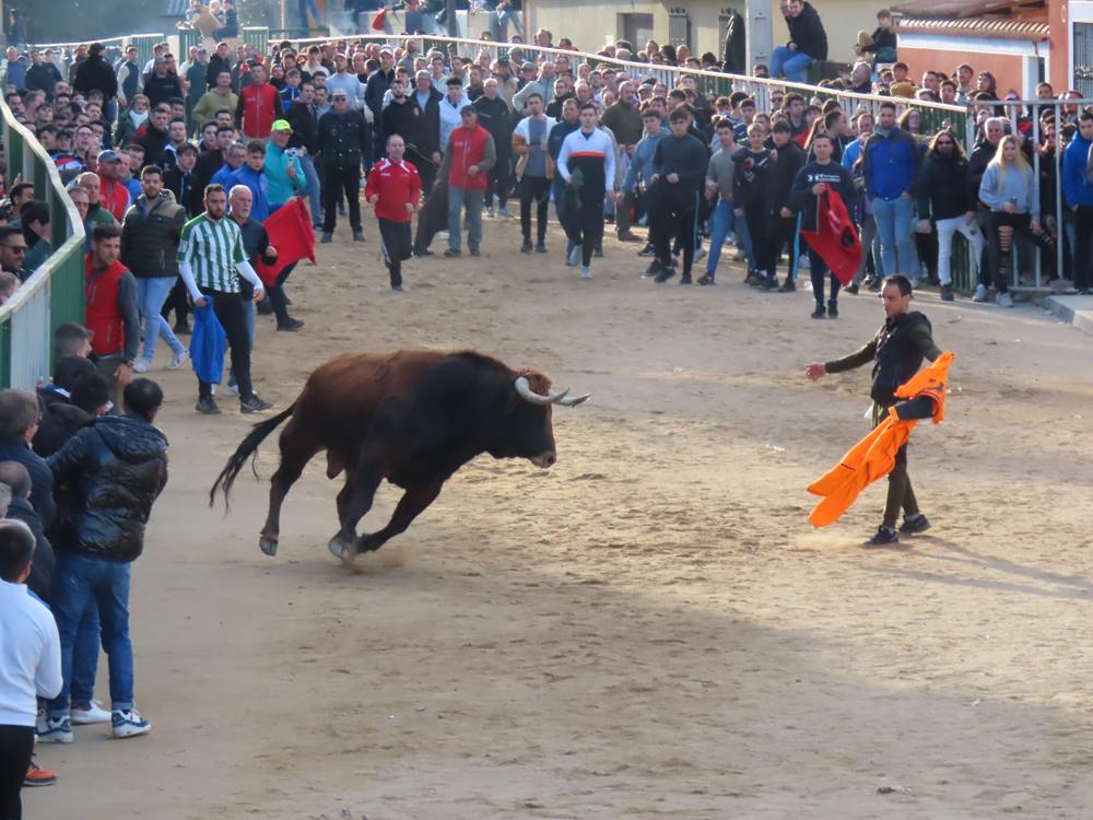 Bravura por las calles de Babilafuente