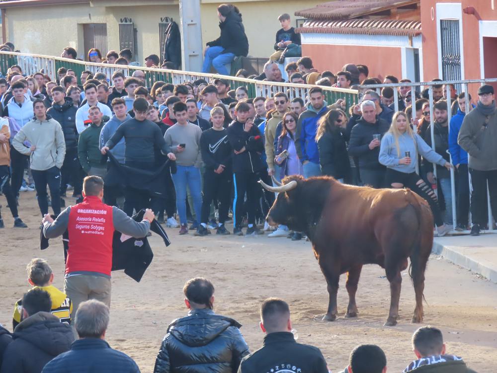 Bravura por las calles de Babilafuente