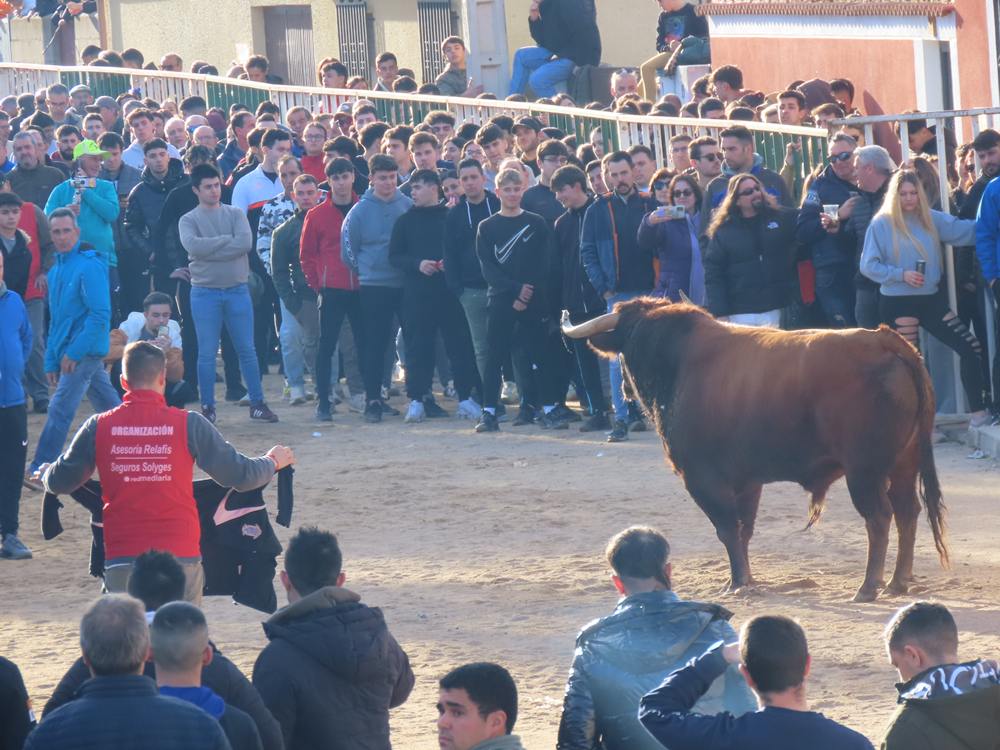 Bravura por las calles de Babilafuente