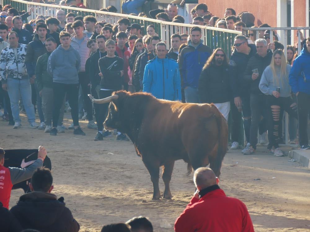 Bravura por las calles de Babilafuente