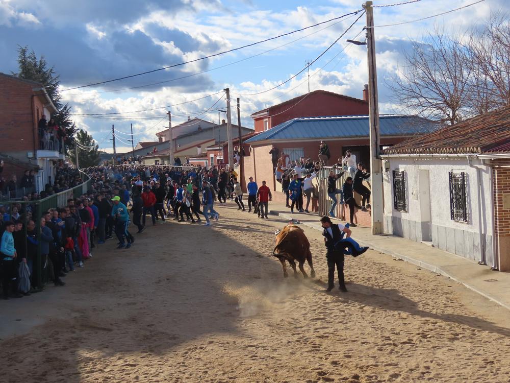 Bravura por las calles de Babilafuente