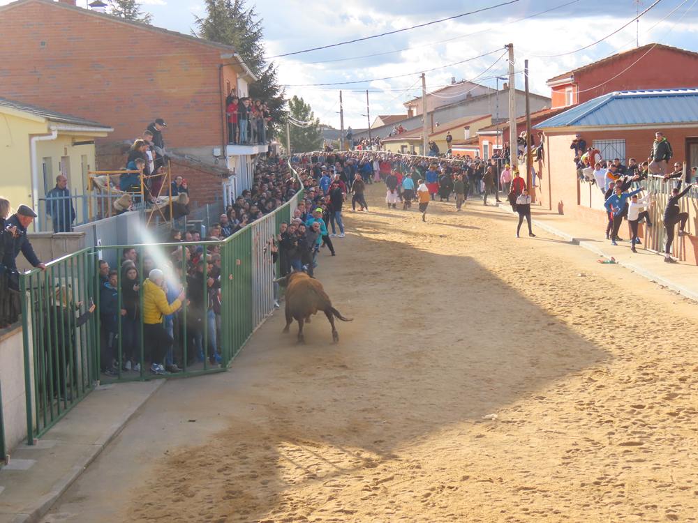 Bravura por las calles de Babilafuente