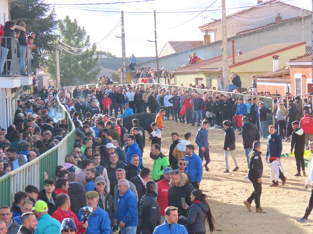 Bravura por las calles de Babilafuente