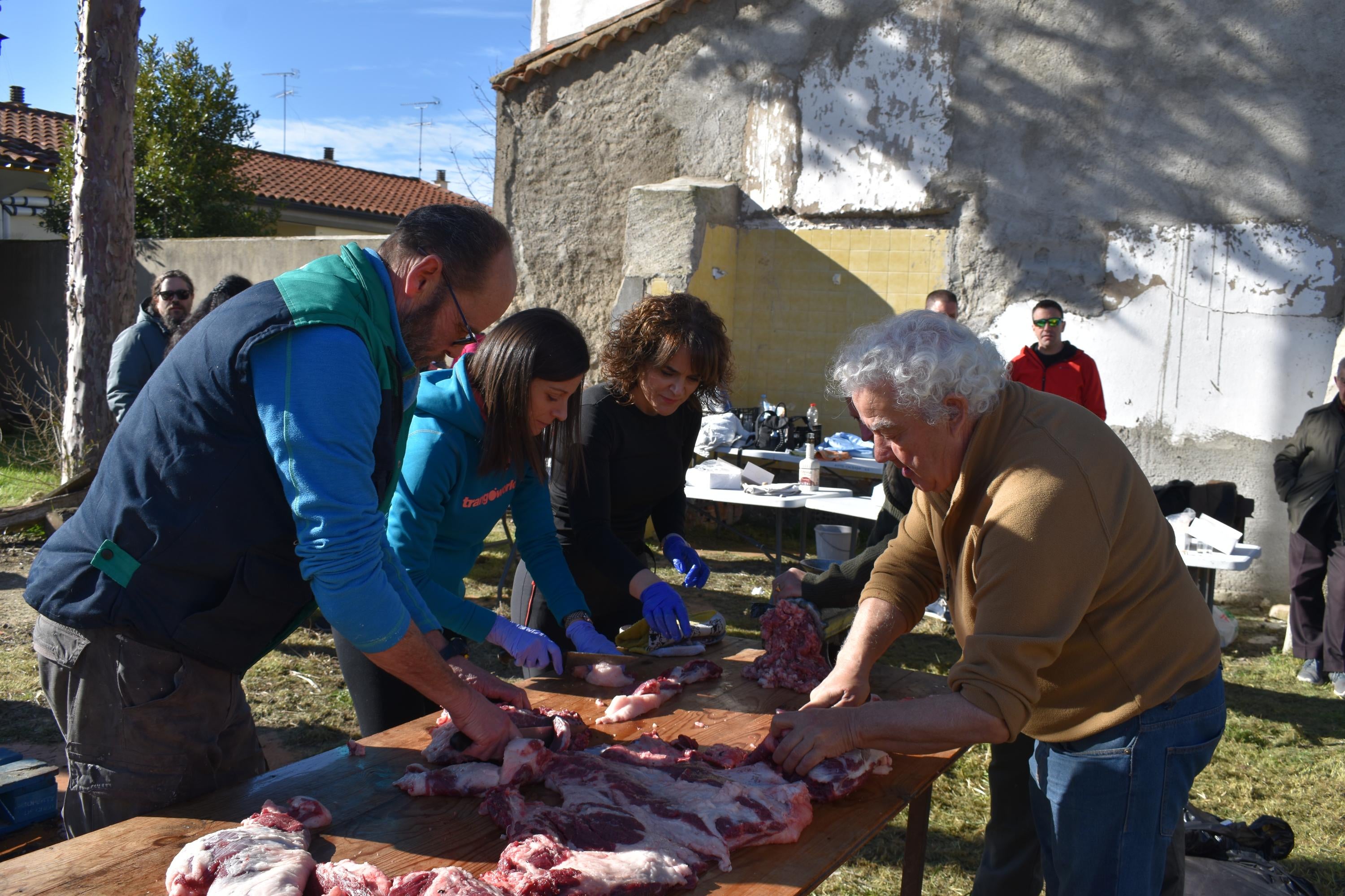 Un cerdo de 200 kilos protagoniza la matanza de Calzada de Valdunciel