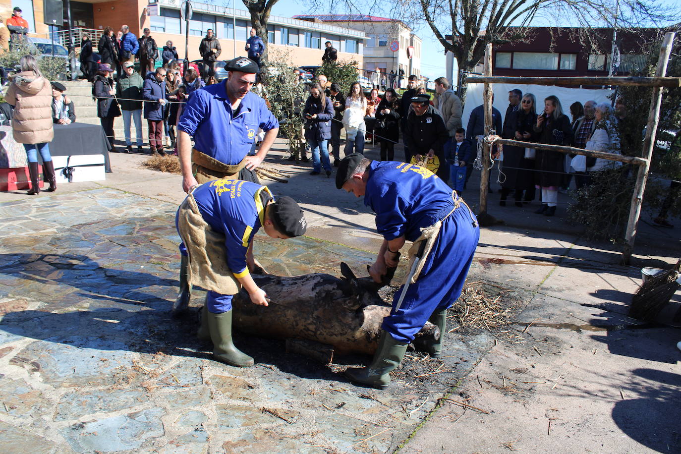 El sol acompaña la primera matanza de Guijuelo del año