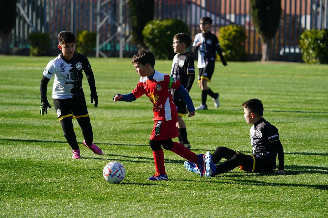 Las mejores imágenes de la jornada de futbol base