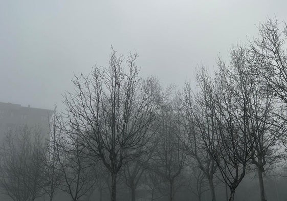 Niebla en la capital este martes.