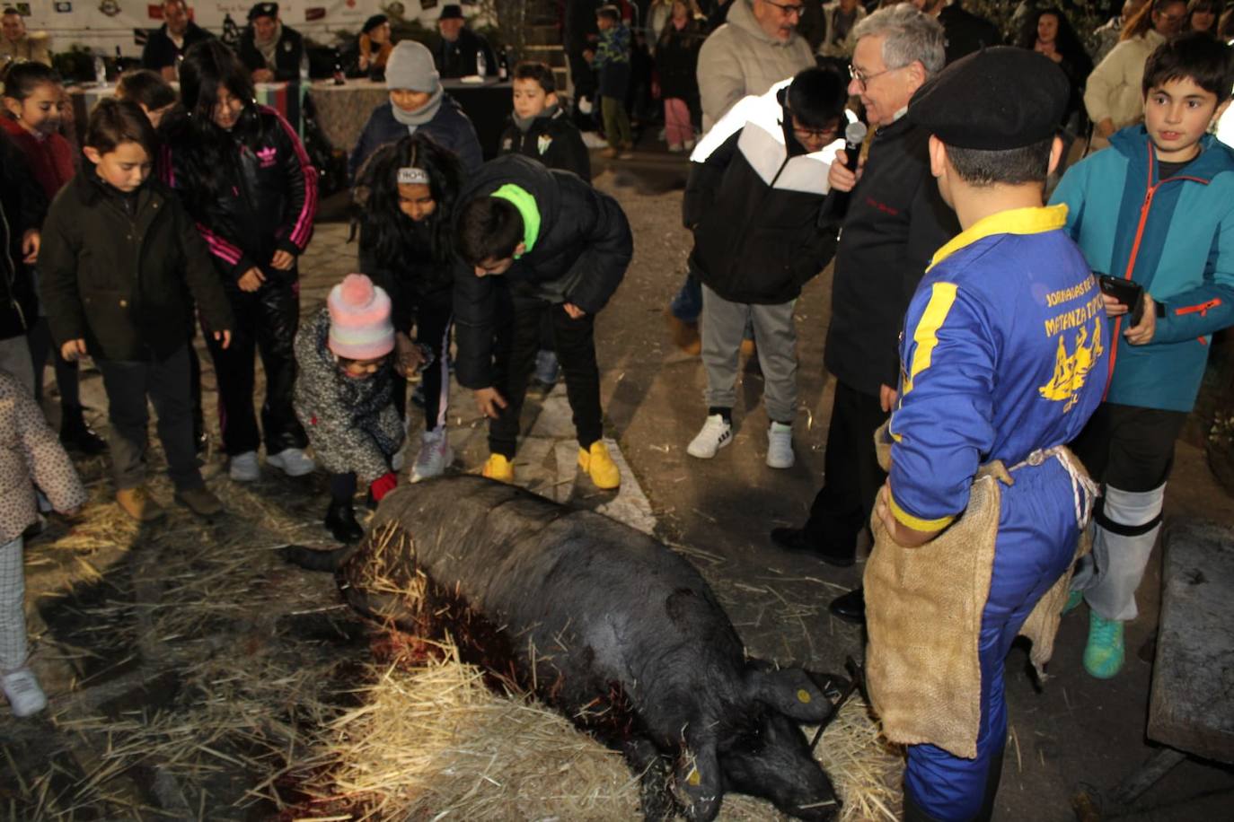 Guijuelo disfruta de su matanza nocturna