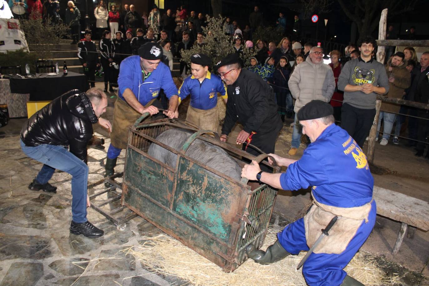 Guijuelo disfruta de su matanza nocturna