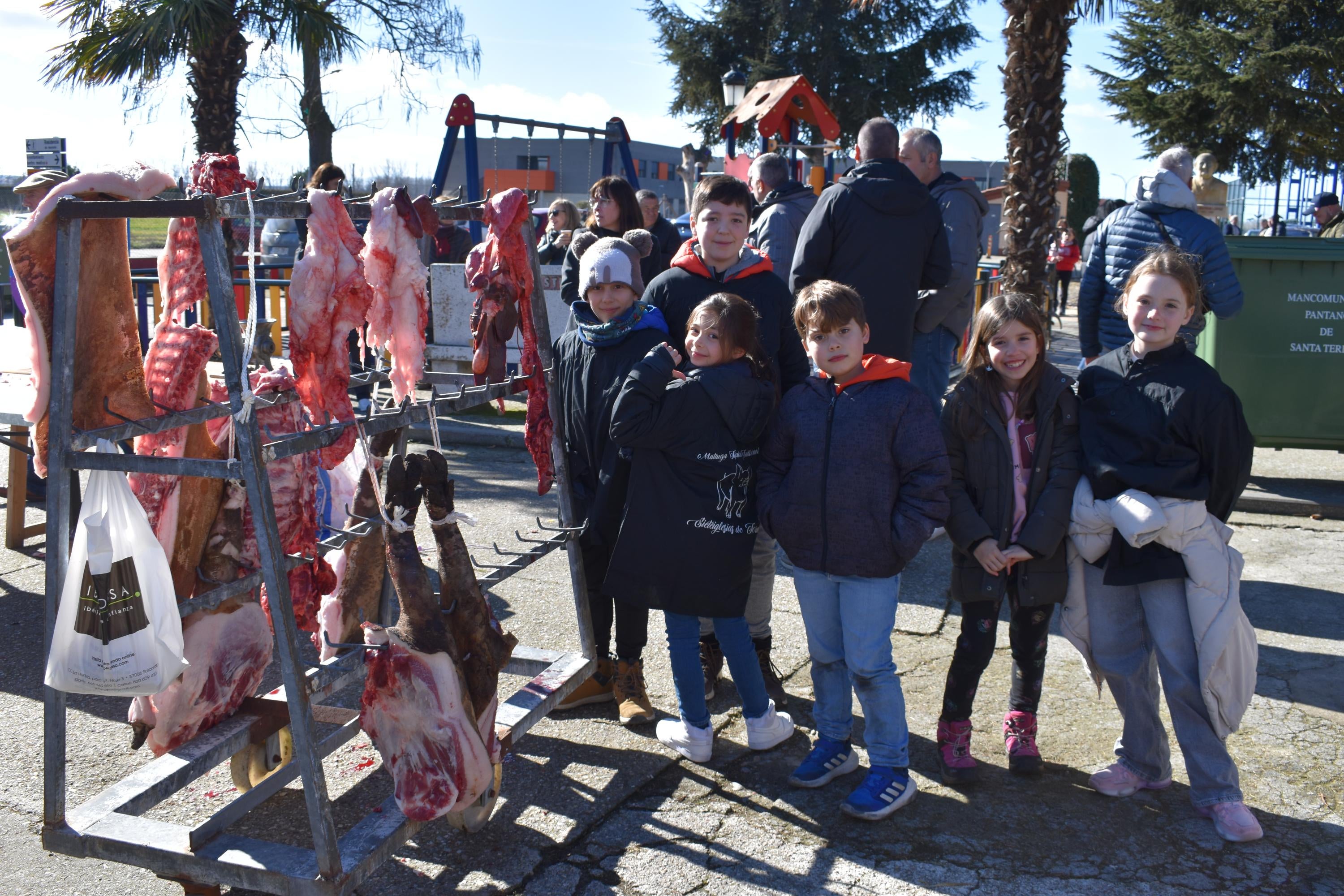 Sieteiglesias de Tormes celebra la matanza con un cerdo de 160 kilos