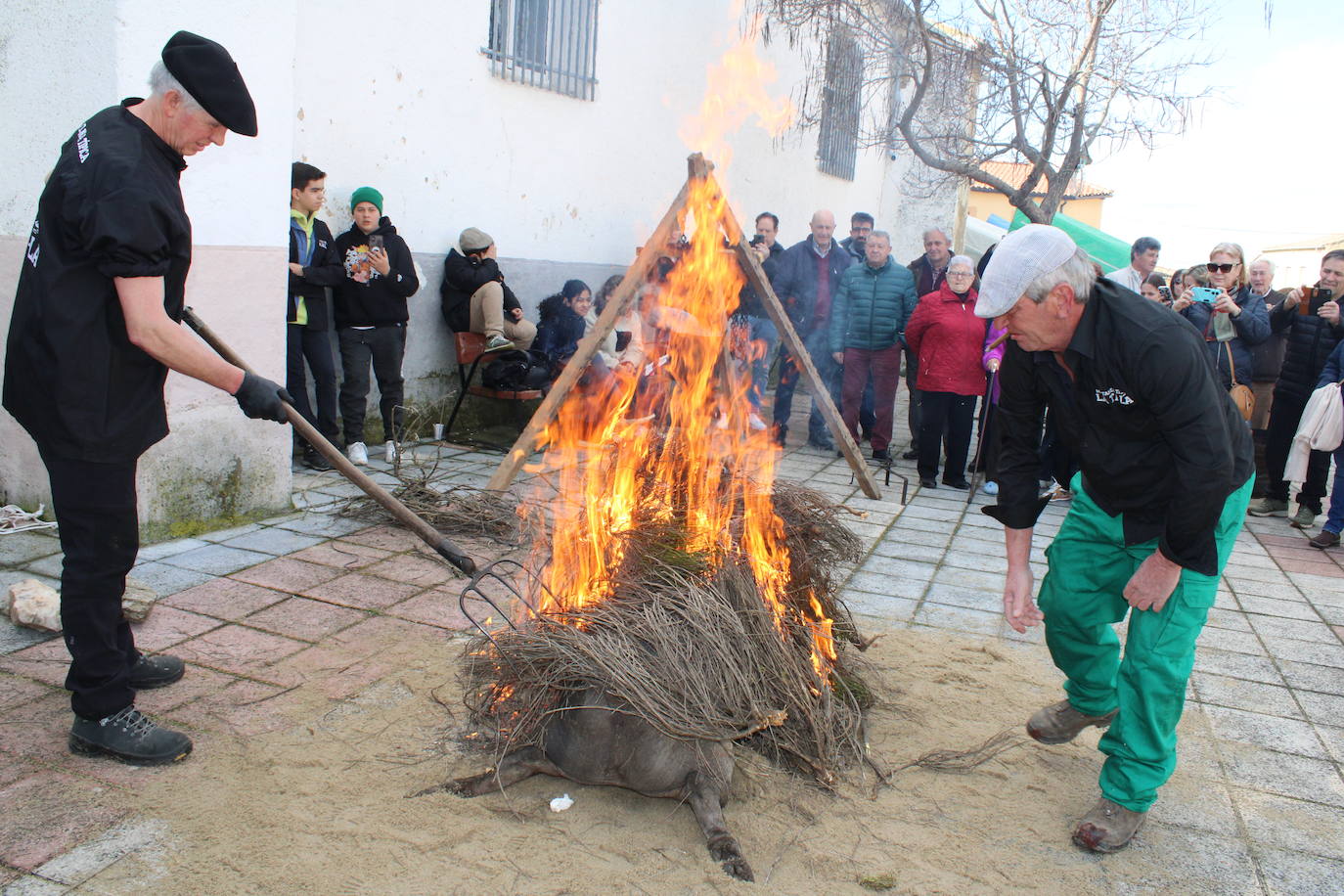 La Tala disfruta de un nuevo lleno en su segunda matanza tradicional