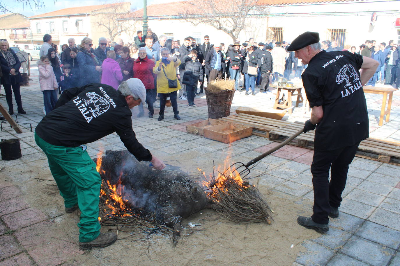 La Tala disfruta de un nuevo lleno en su segunda matanza tradicional