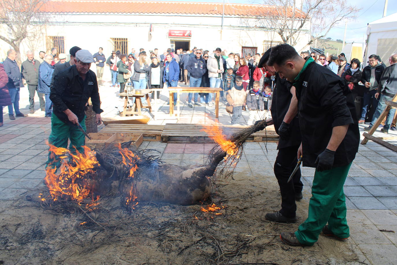 La Tala disfruta de un nuevo lleno en su segunda matanza tradicional