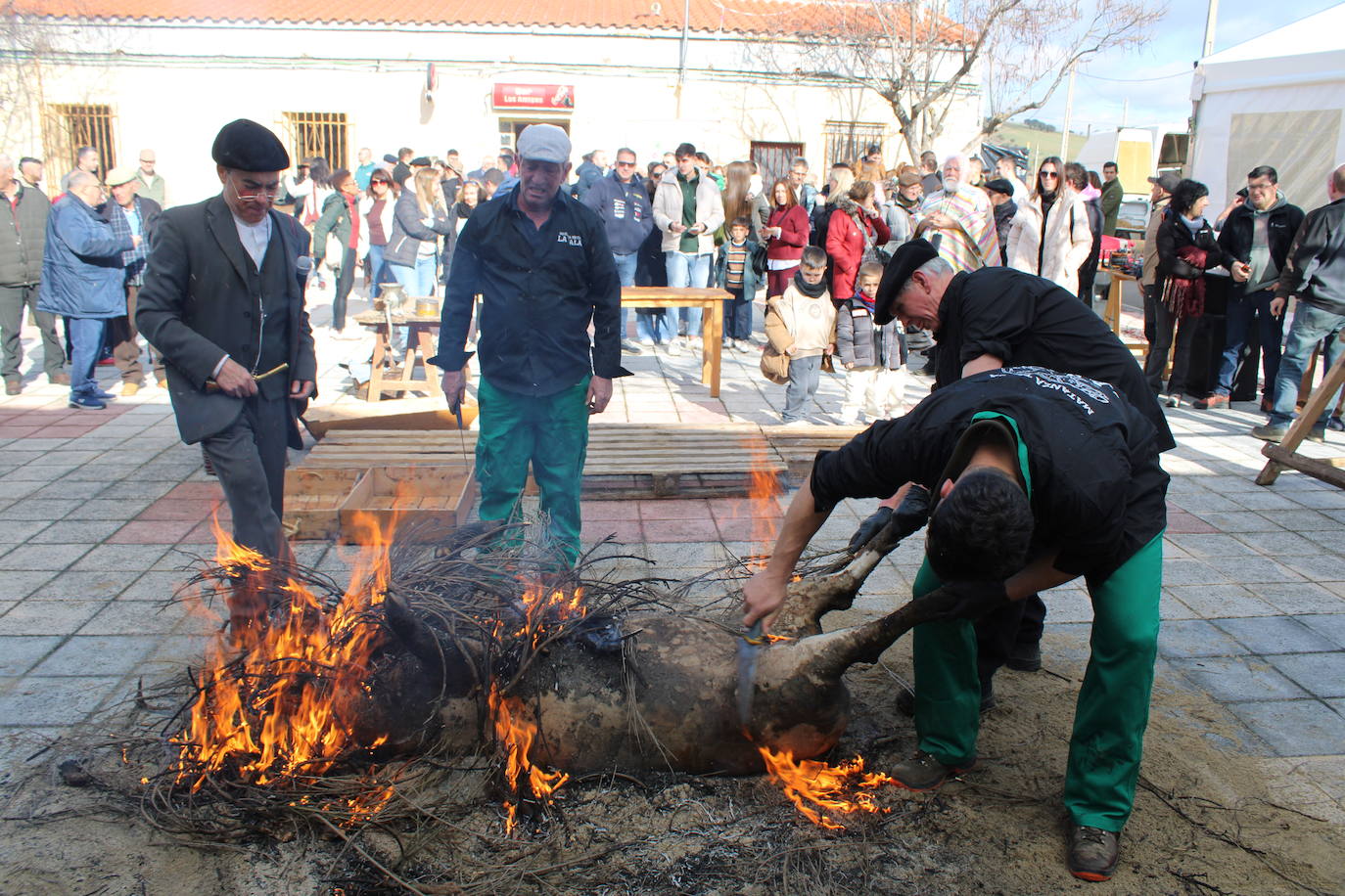 La Tala disfruta de un nuevo lleno en su segunda matanza tradicional