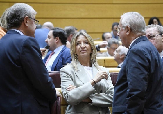 La portavoz del PP en el Senado, Alicia García, durante un pleno extraordinario.