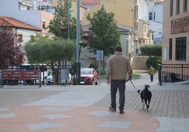 Un hombre pasea con un perro por las calles de Carbajosa.