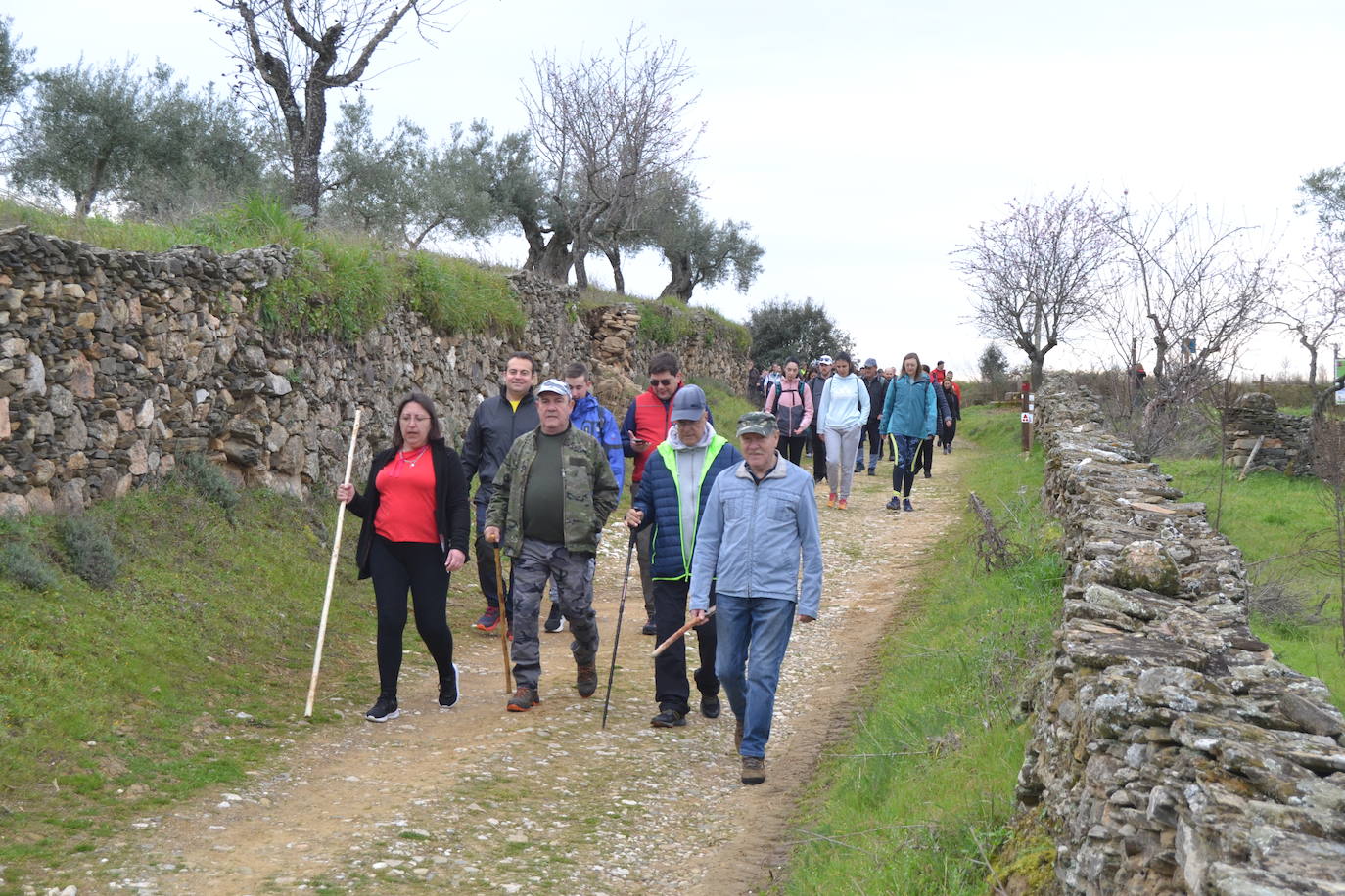 Un bello paseo entre almendros