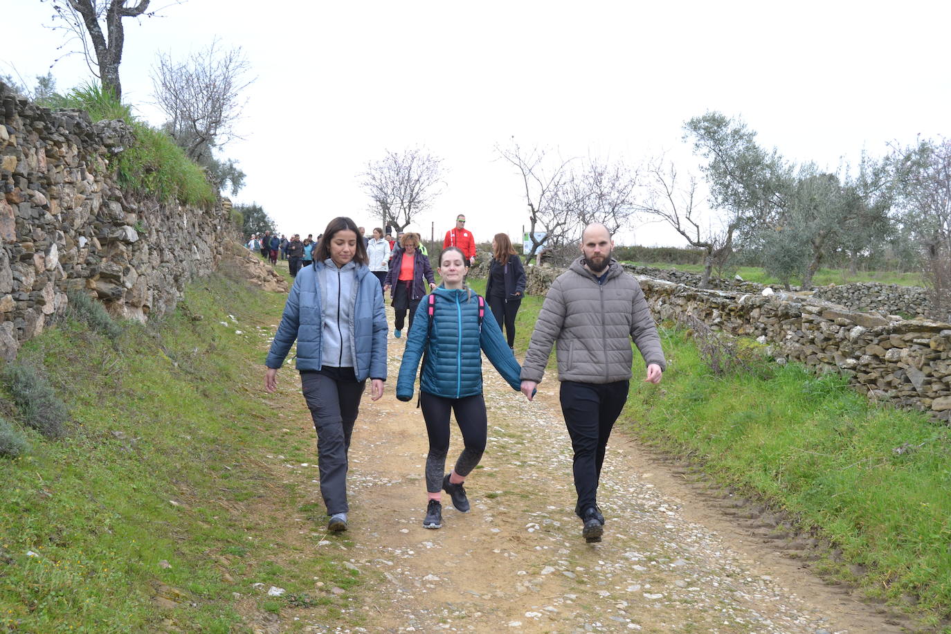 Un bello paseo entre almendros