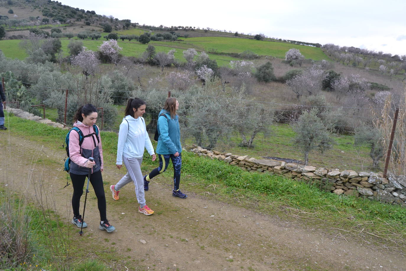 Un bello paseo entre almendros