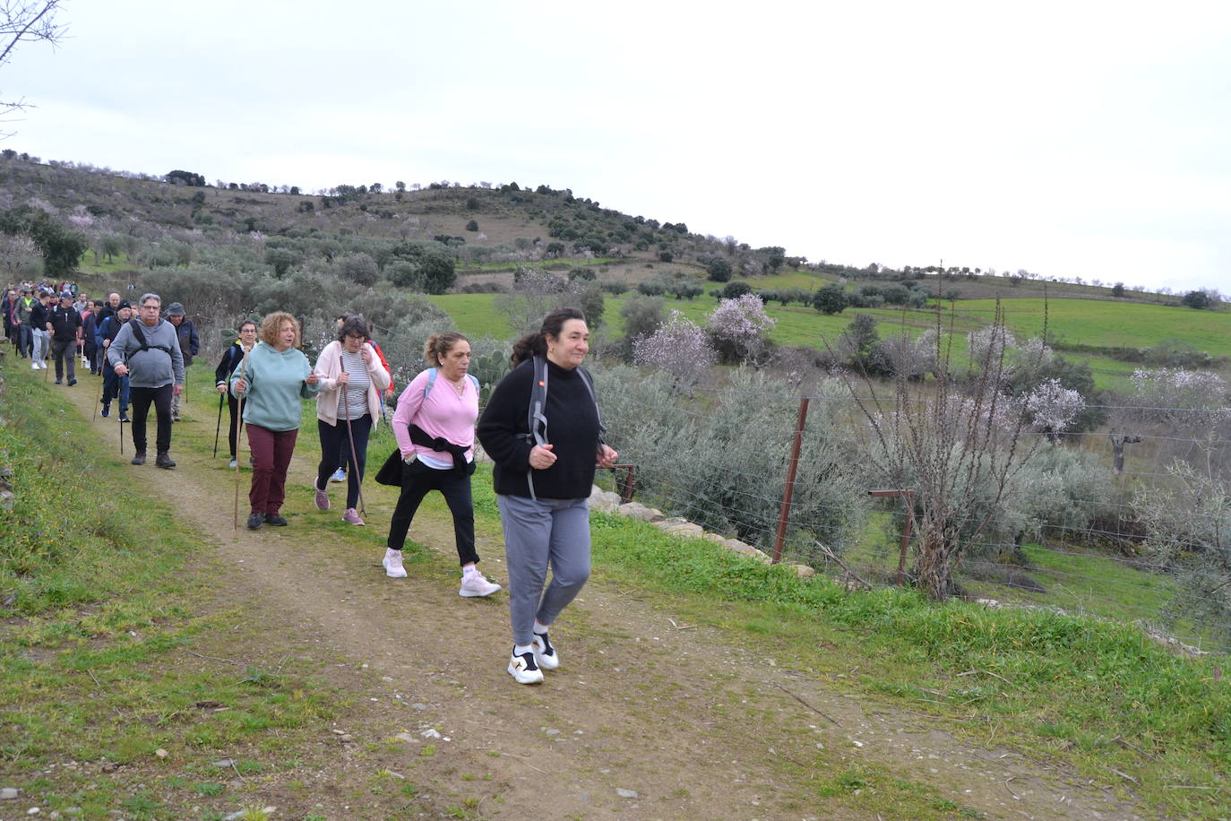 Un bello paseo entre almendros