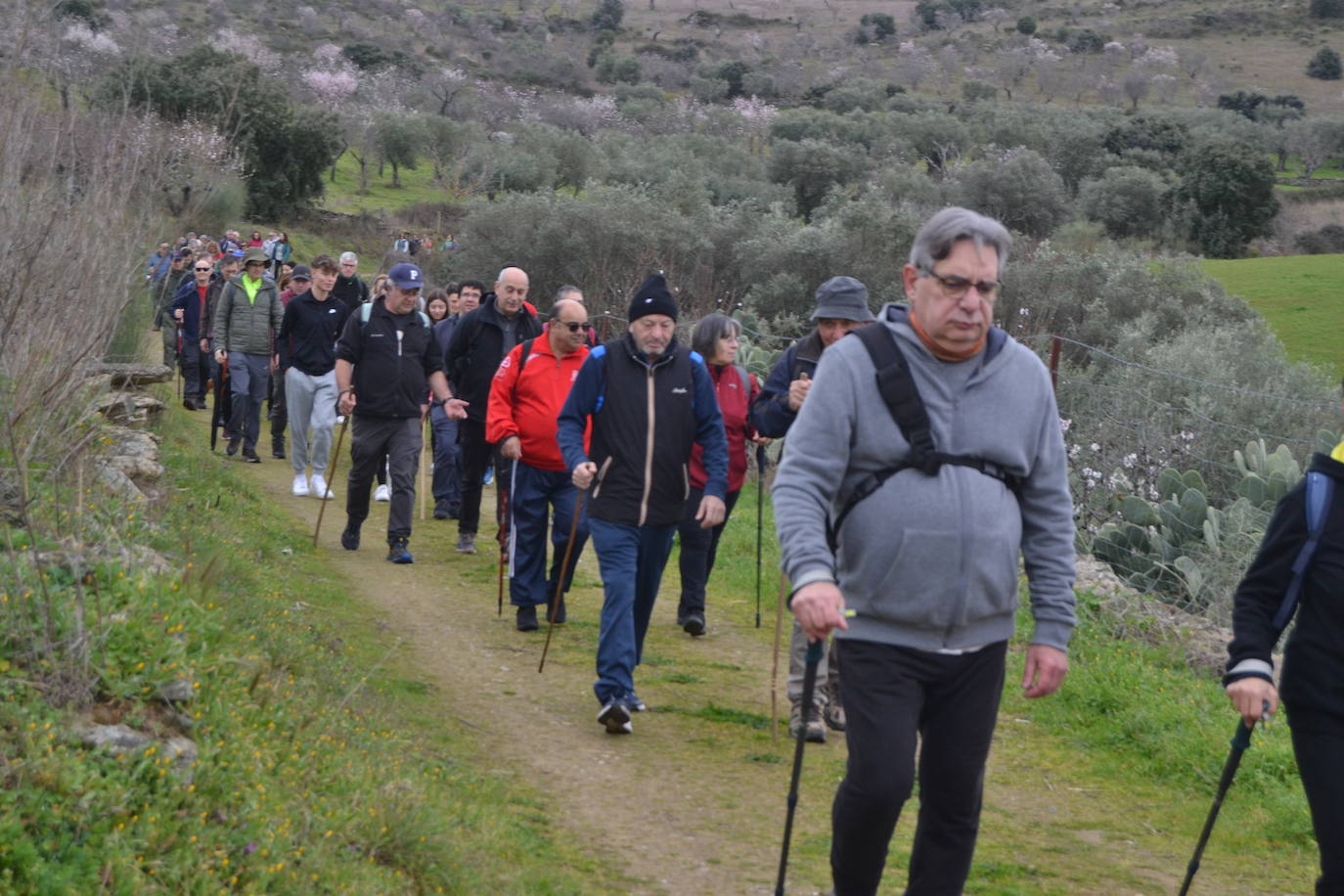 Un bello paseo entre almendros