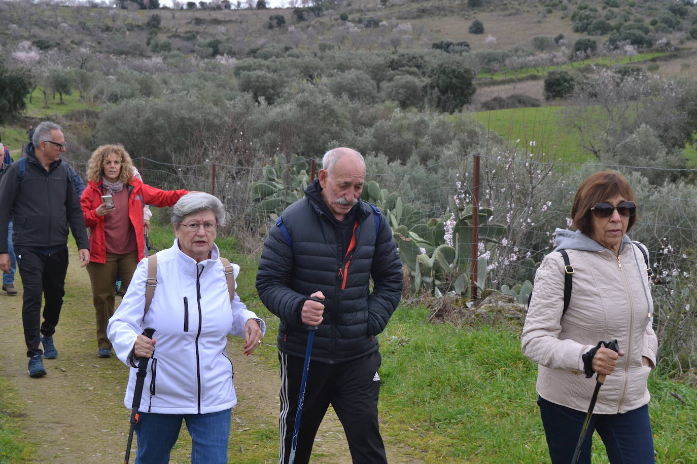 Un bello paseo entre almendros