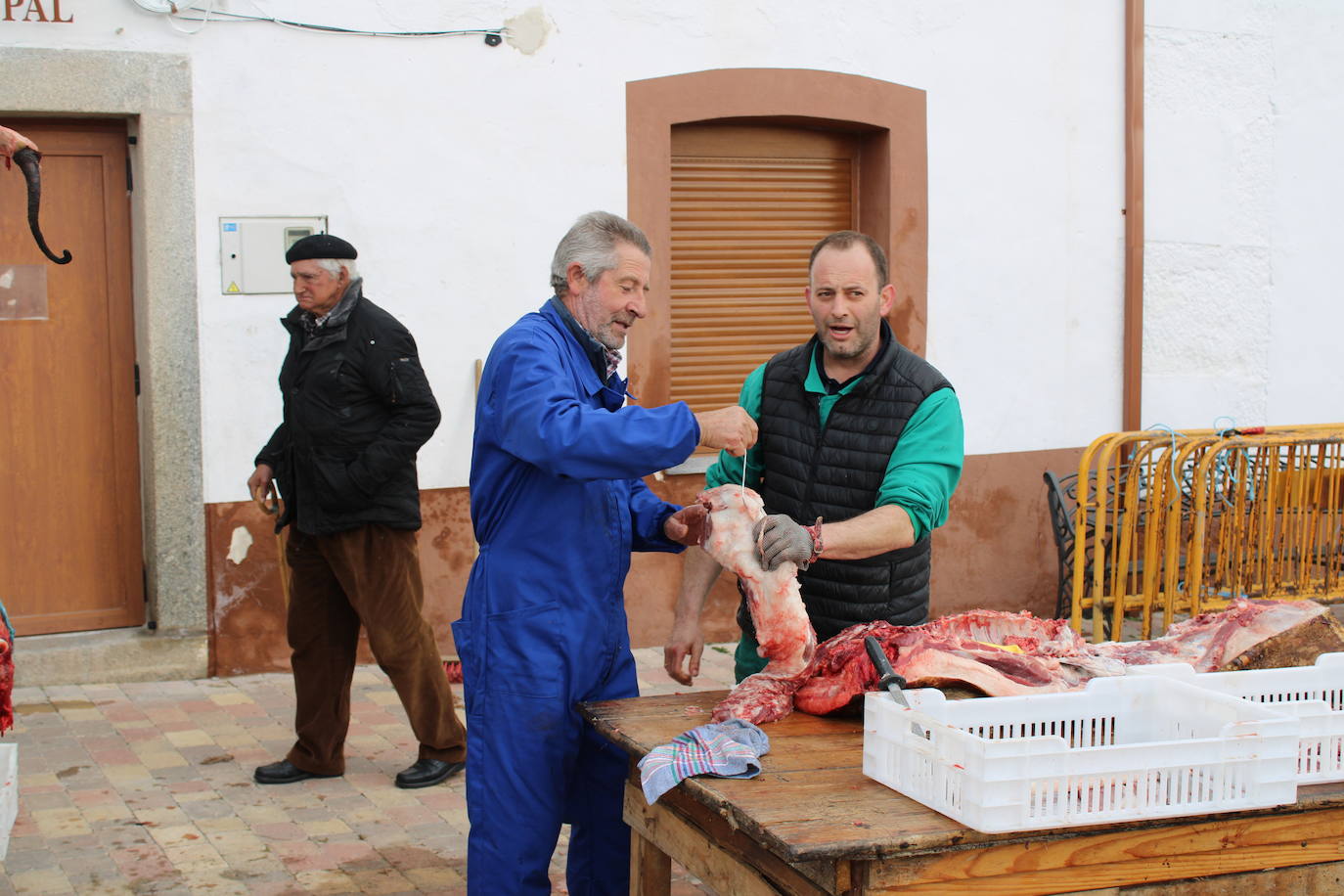 Santibáñez de Béjar disfruta de una multitudinaria fiesta de la matanza