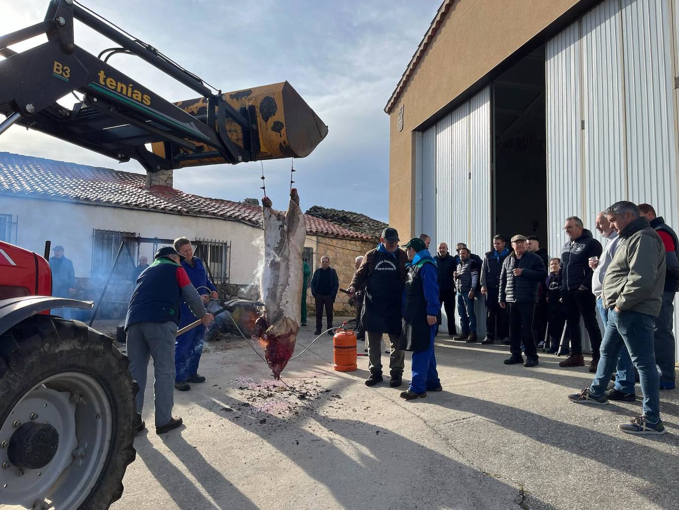 Completa fiesta de la matanza tradicional en Gejo de los Reyes