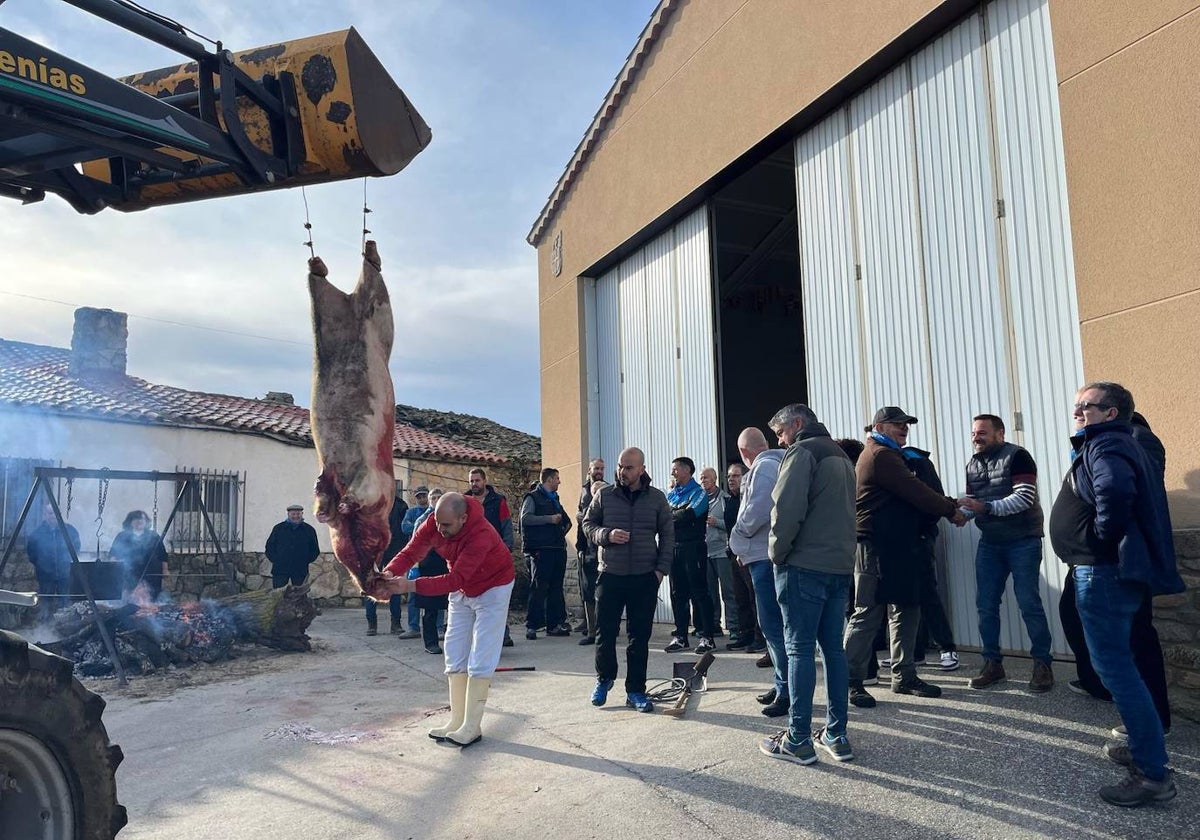 Completa fiesta de la matanza tradicional en Gejo de los Reyes