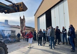 El despiece del marrano, el momento de mayor interés