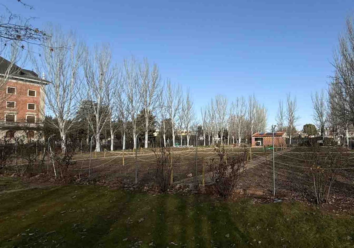 La parcela de la avenida Segovia con los huertos de ocio.