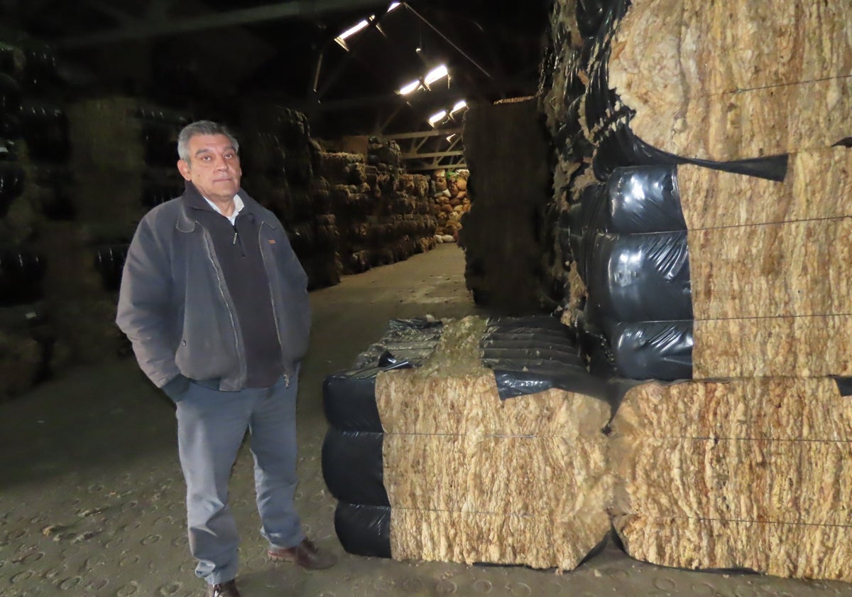 Juan Antonio Cuesta, con balas de lana en su almacén de Macotera.