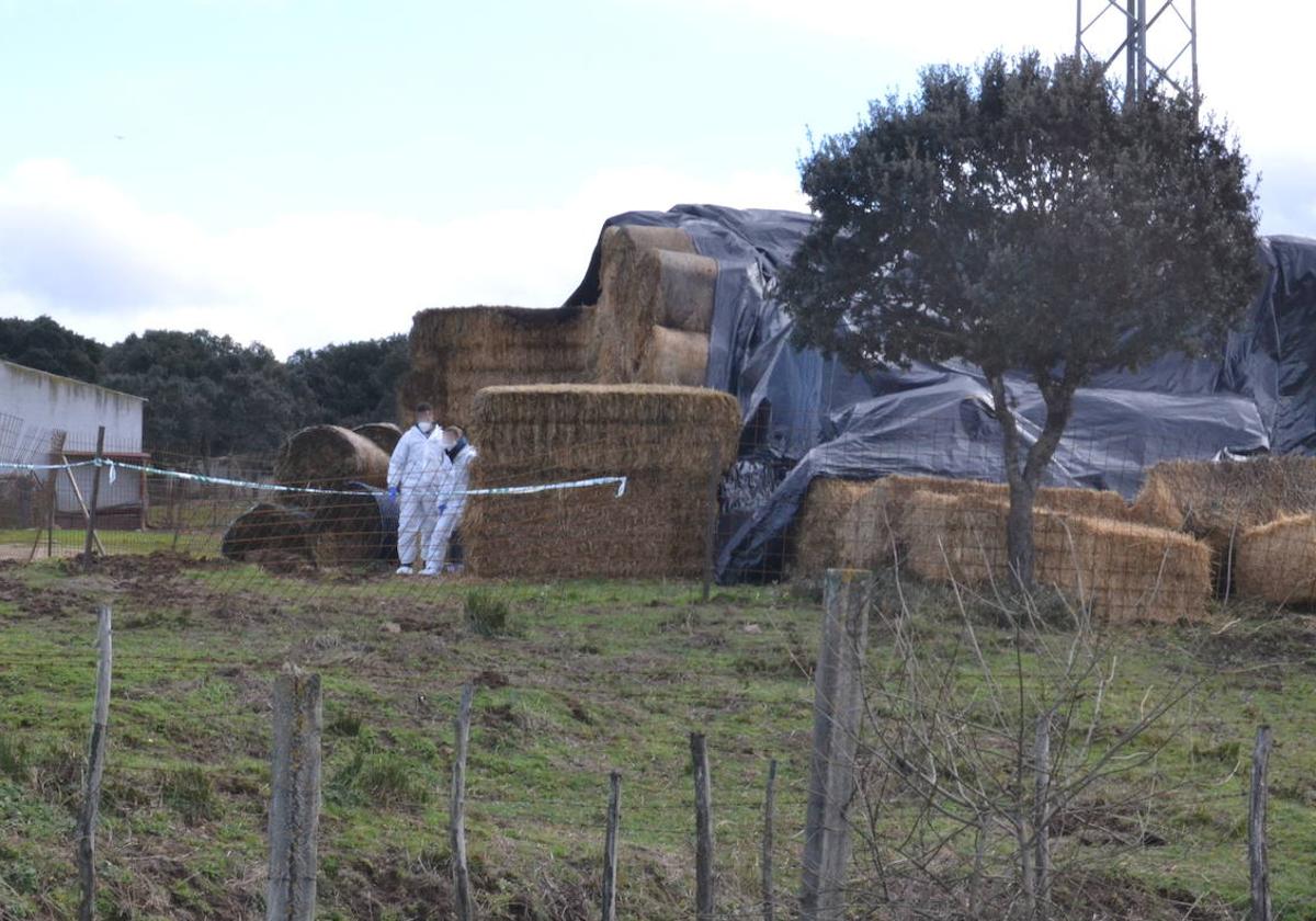 Agentes del Servicio de Criminalística de la Guardia Civil en la finca de Sanjuanejo.